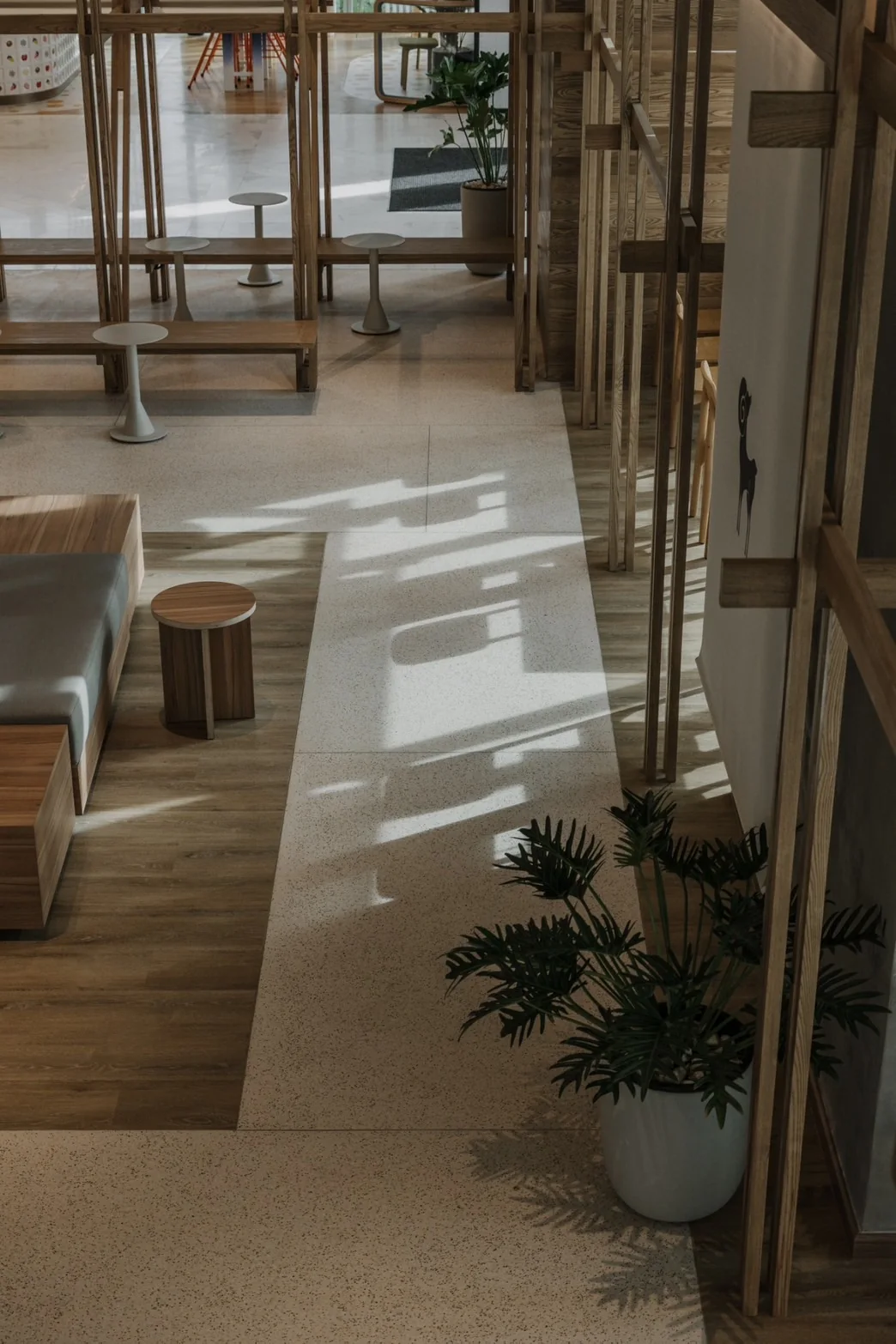 Light and shadow across the cafe circulation path