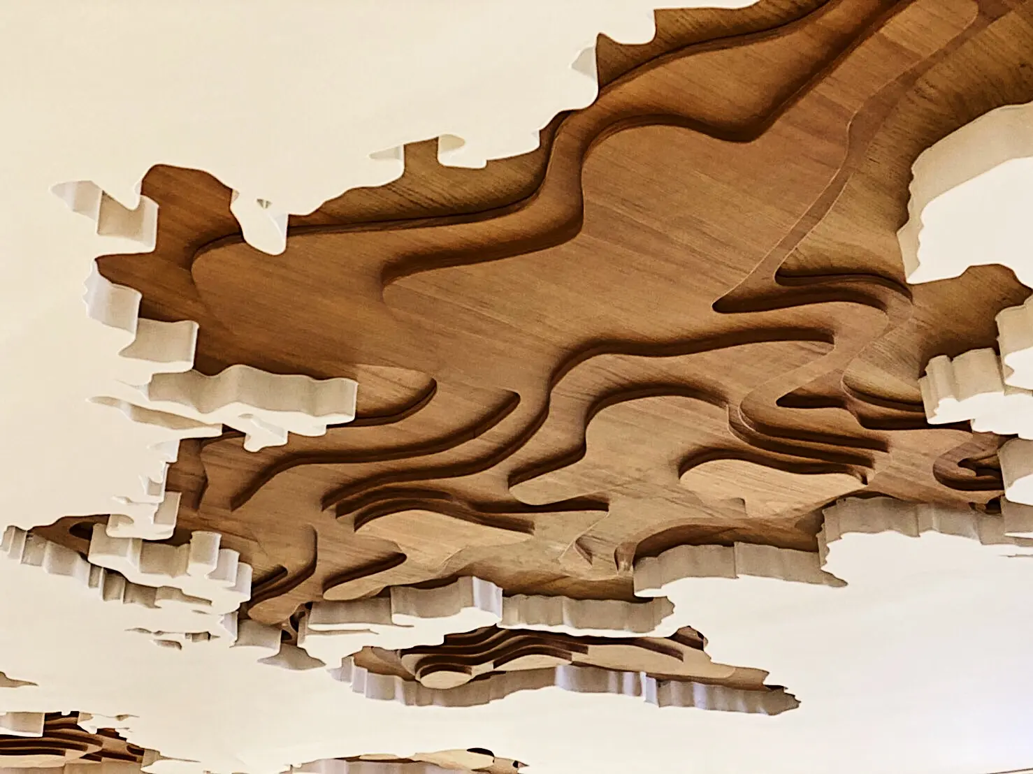 Black Coffee layered timber and white ceiling detail