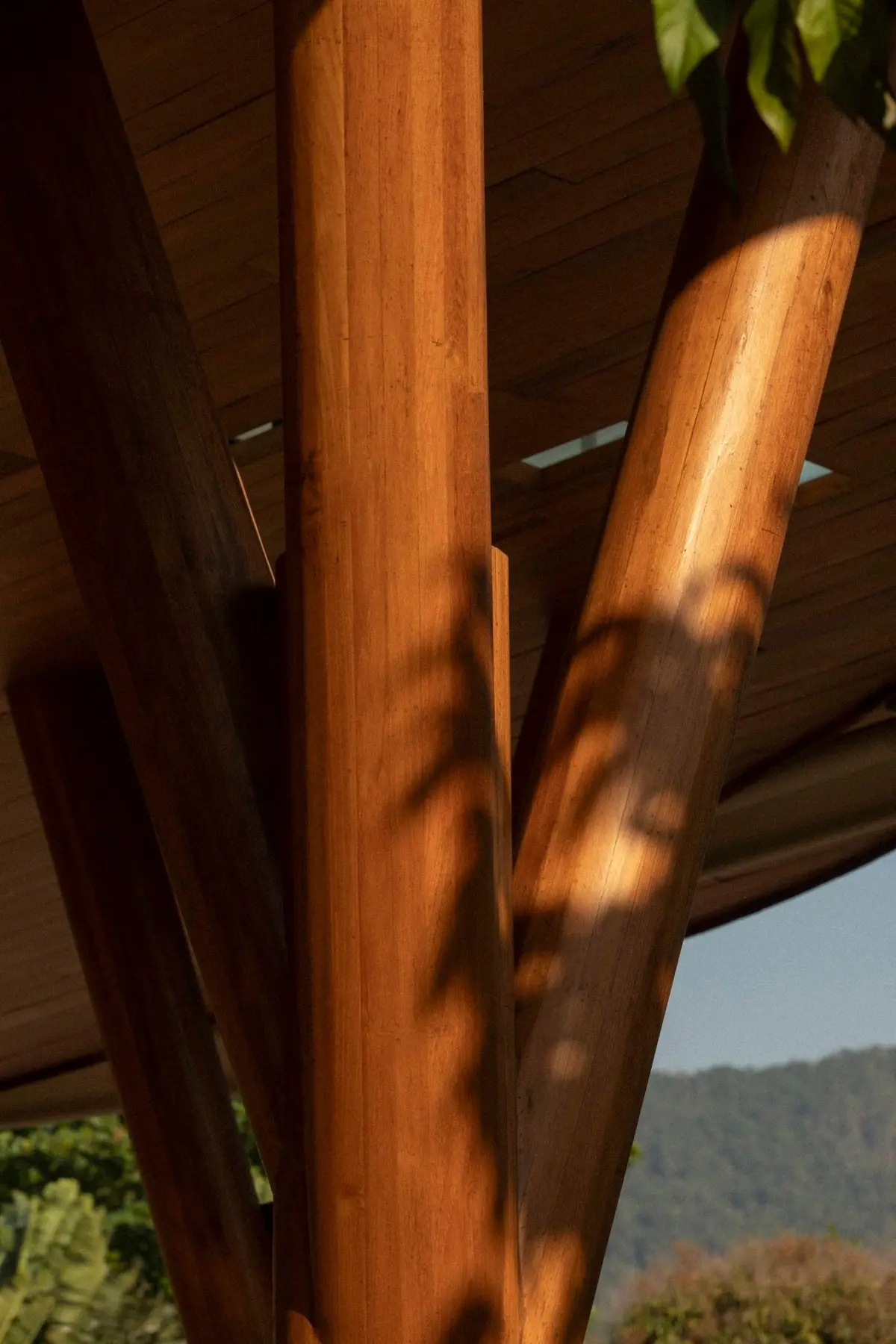 The Retreat Koh Chang Main Tree Lobby detail