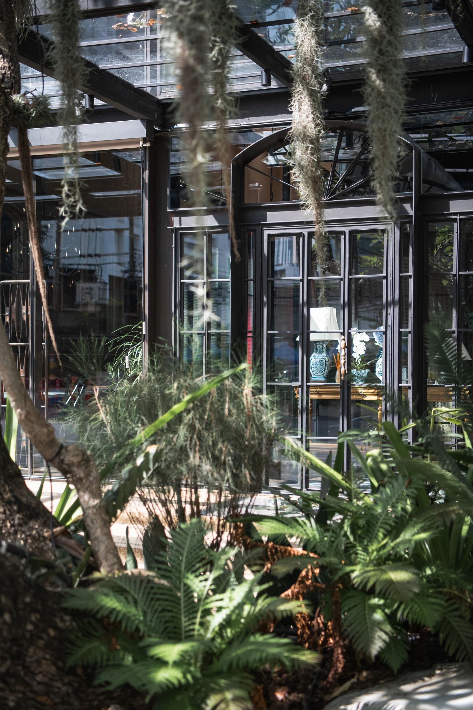 Sapparos S20 black steel and glass exterior framed by planting